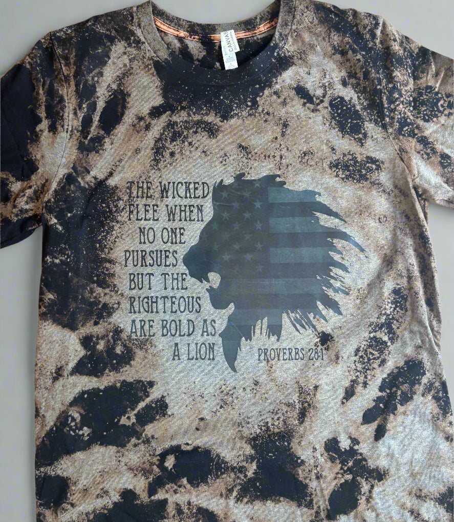 The Righteous are bold as Lions