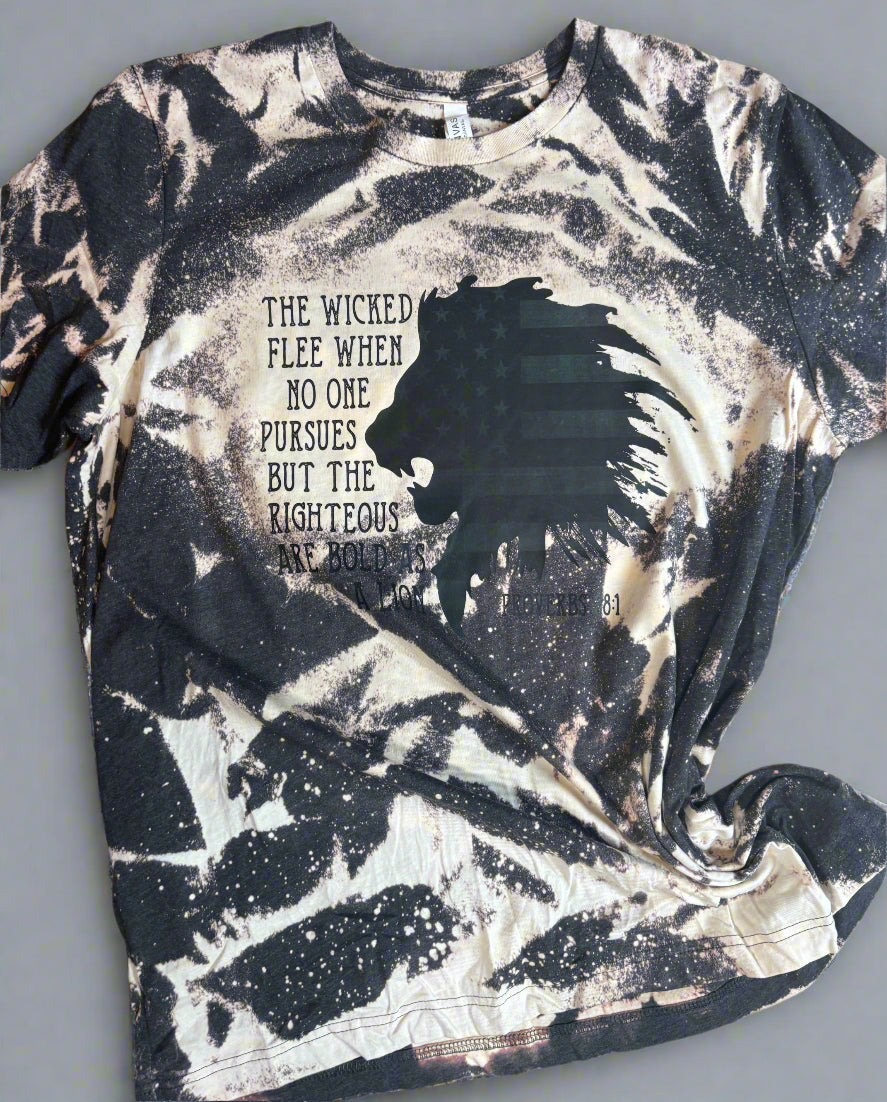 The Righteous are bold as Lions