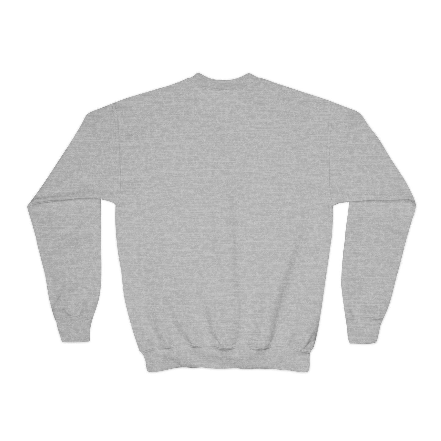 Youth Crewneck Sweatshirt — Colorful Patchwork Lion “The Righteous Are As Bold As A Lion” Kids Graphic Pullover