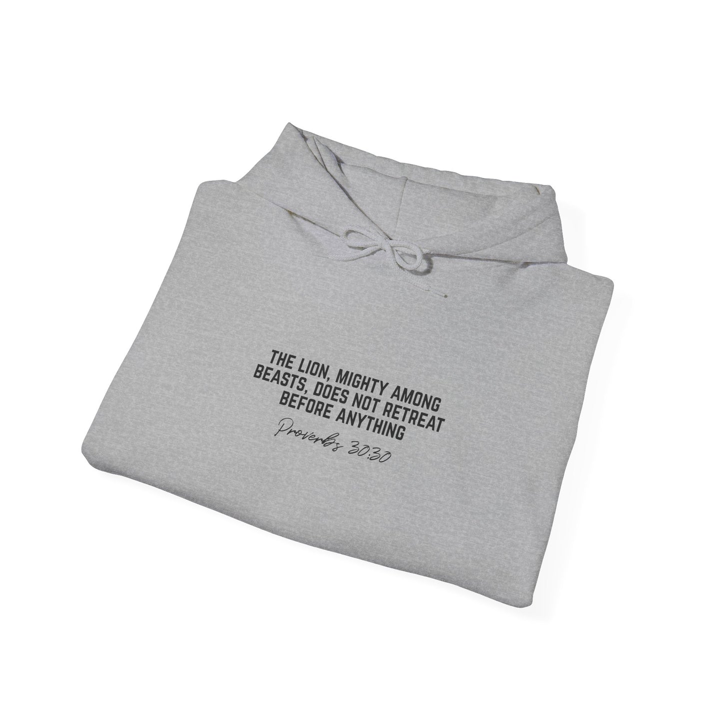 Lion of Judah Hoodie — 'The Lion, mighty among beasts' Christian Faith Pullover