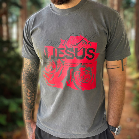 Eternal Life In Jesus Comfort Colors T-Shirt