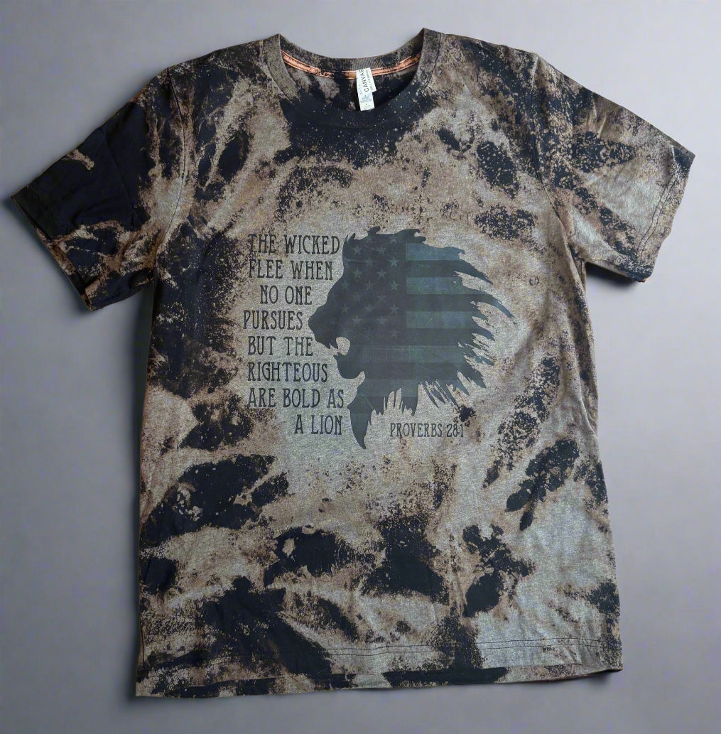 The Righteous are bold as Lions RTS T-Shirt