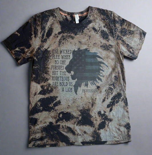 The Righteous are bold as Lions