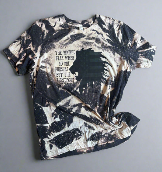 The Righteous are bold as Lions